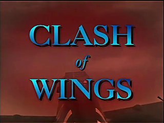 Clash of Wings (12/13) : The Fighters