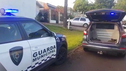 PRF e GM localizam casa onde eram armazenados cigarros contrabandeados em Cascavel