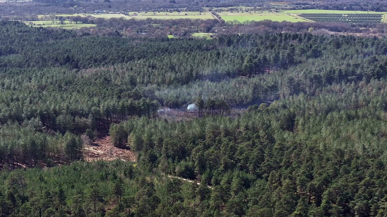 Fire at Moors Valley Country Park 31st March 2025 – video: stunningdrone.com