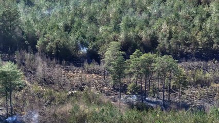 Fire at Moors Valley Country Park 31st March 2025 – video: stunningdrone.com