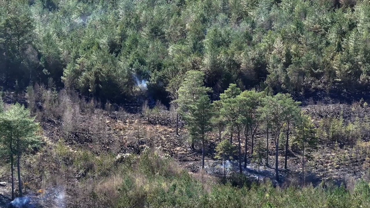 Fire at Moors Valley Country Park 31st March 2025 – video: stunningdrone.com