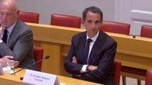 Le PDG de Carrefour questionné au Sénat sur le passage en franchise de magasins