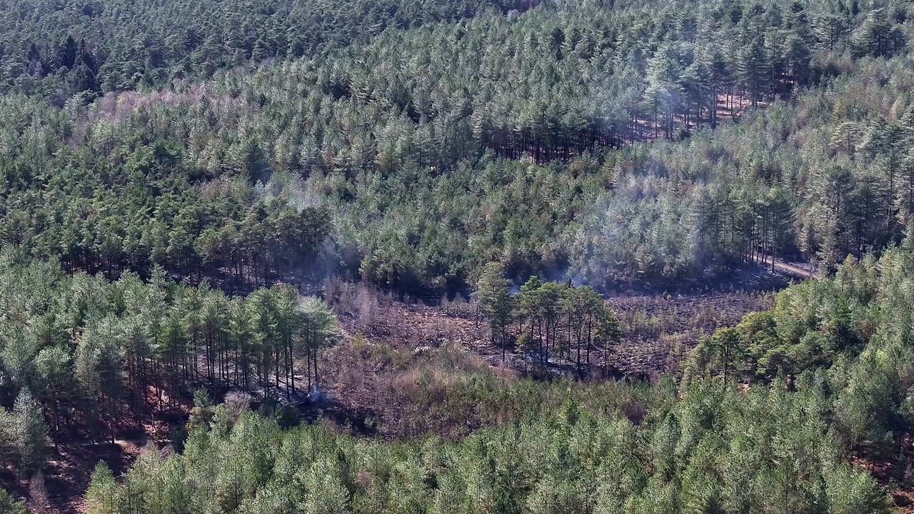Fire at Moors Valley Country Park 31st March 2025 – video: stunningdrone.com