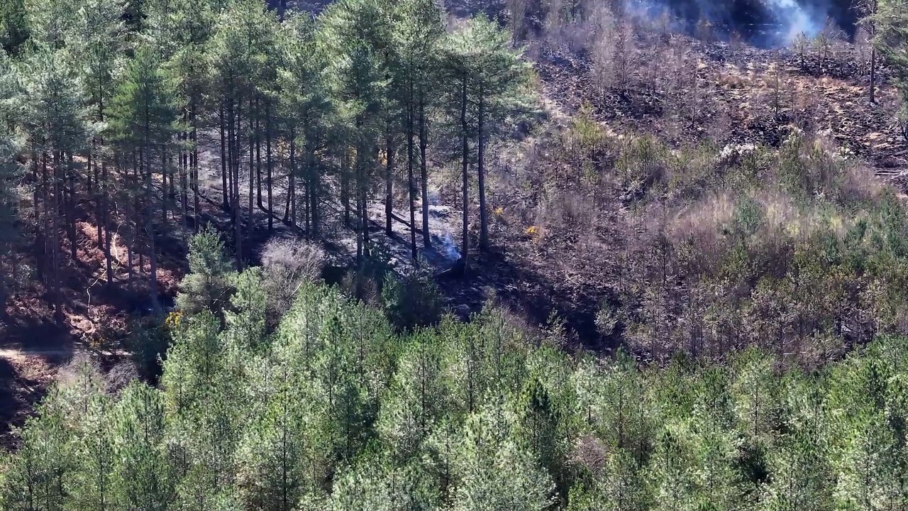 Fire at Moors Valley Country Park 31st March 2025 – video: stunningdrone.com