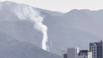 대구 '앞산' 은적사 주변 불...40분 만에 진화 / YTN