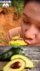 Luar biasa alpukat 🥑 🥑 ne sangat luar biasa
