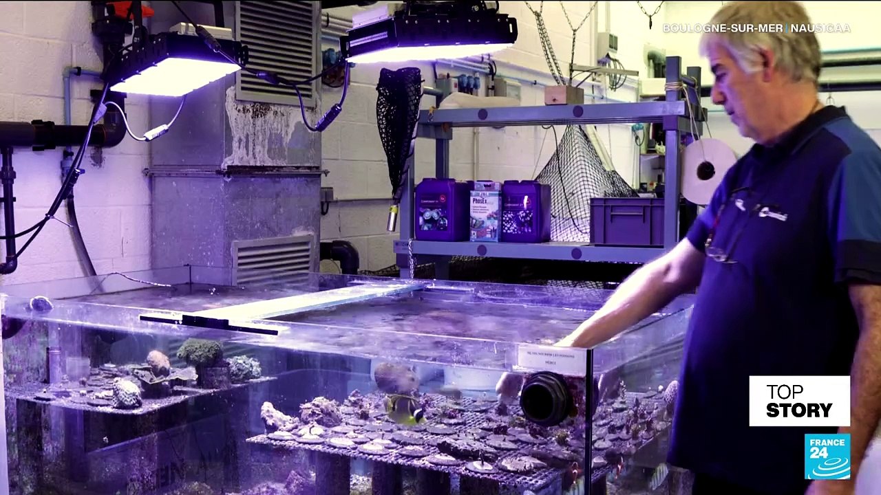 'Protection of the oceans 'should mean a ban on destructive fishing'