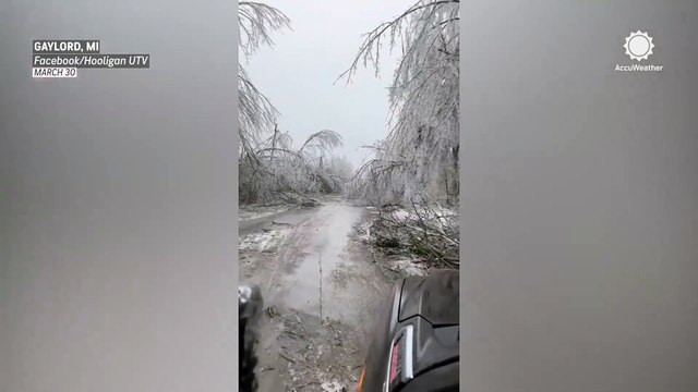 Icy trees and debris litter Michigan road during ice storm