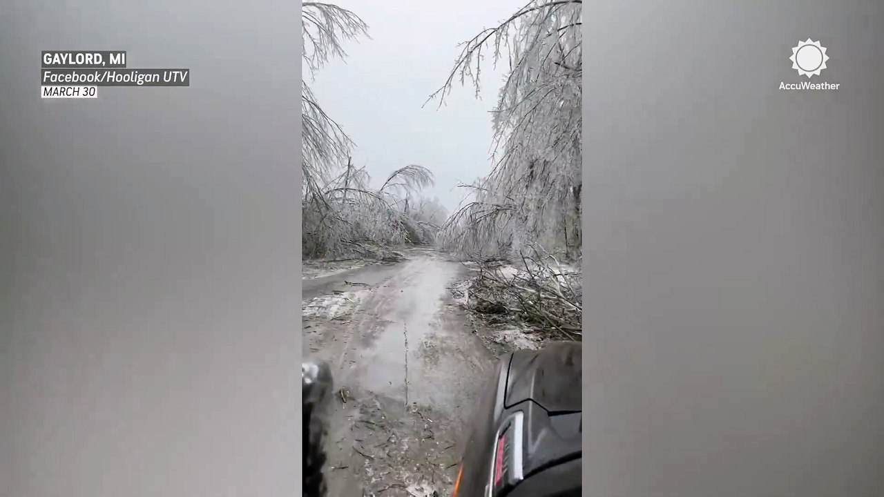 Icy trees and debris litter Michigan road during ice storm