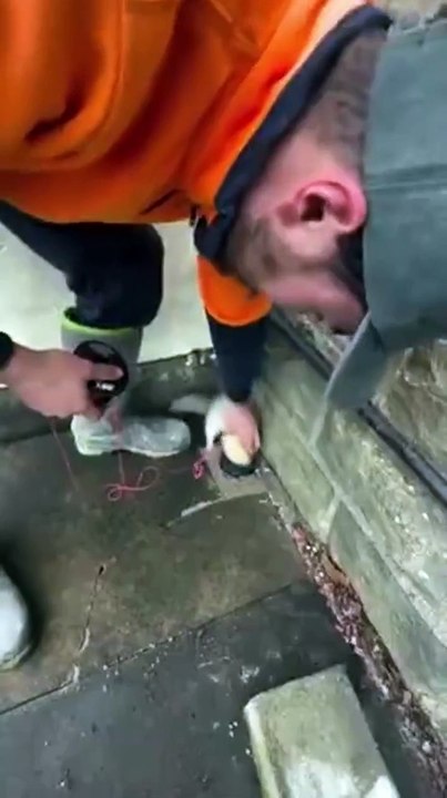 Utiliser son furet pour passer des cables... malin