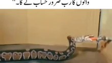 Snake death 😭😭😭🇸🇦🇵🇰🏴🤌 کے دن سب کا حساب ہوگا ظالم لوگ ہیں