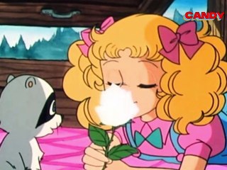 CANDY 13 dessin animés