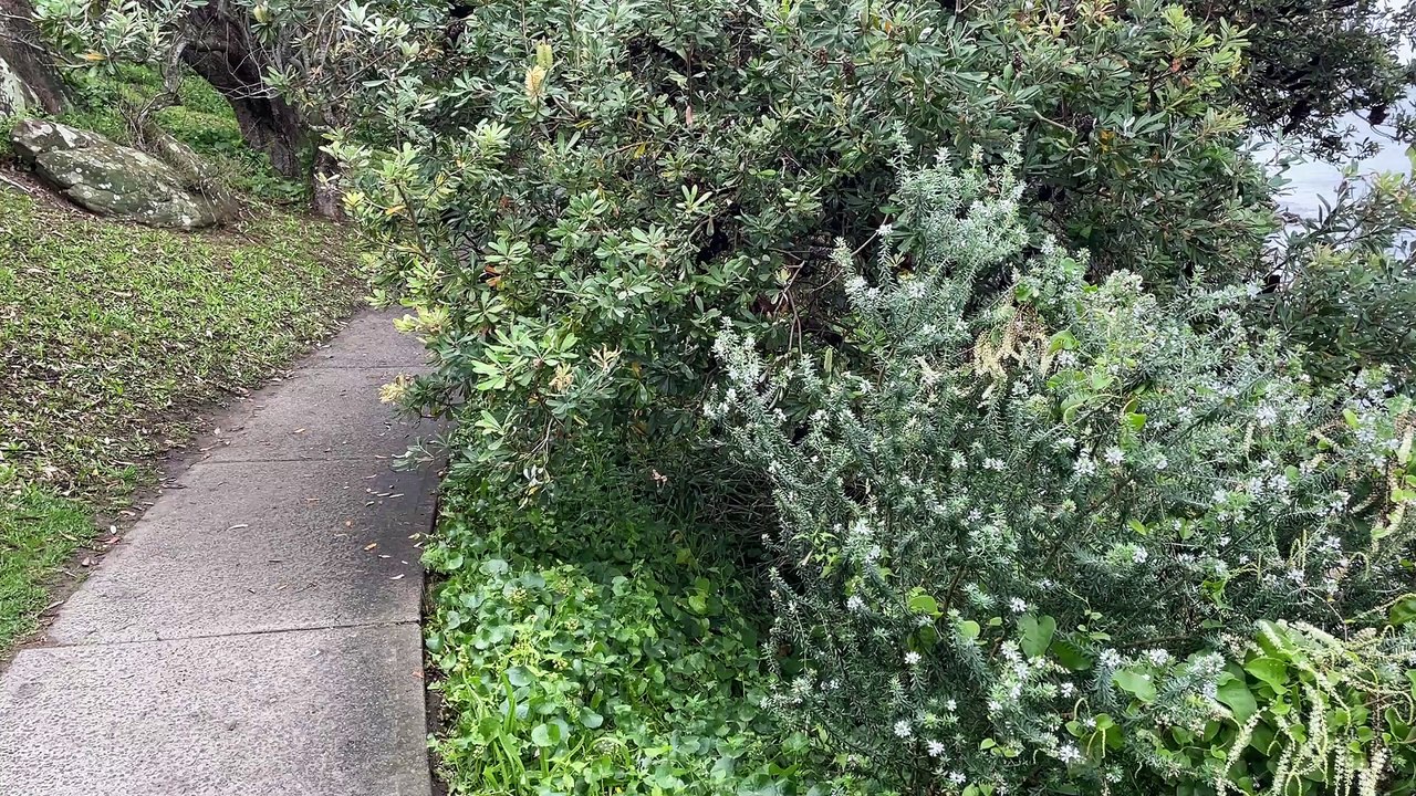 Hungry Point walk