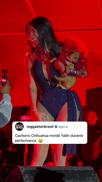 Quem é Yailin La Mas Viral, cantora que levou mordida de cachorro durante show