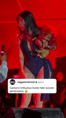 Quem é Yailin La Mas Viral, cantora que levou mordida de cachorro durante show