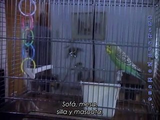 Twilight Zone [3x09] The Call (Subtítulos)