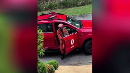 Bombeiros resgatam gato preso na roda do carro de Giovanna Ewbank