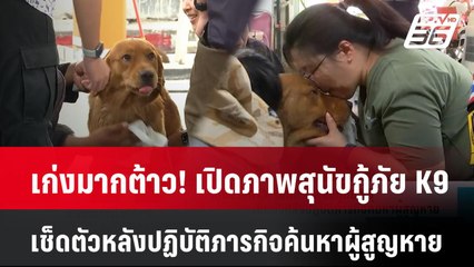เก่งมากต้าว! เปิดภาพสุนัขกู้ภัย K9 เช็ดตัวหลังปฏิบัติภารกิจค้นหาผู้สูญหาย| PPTVNews