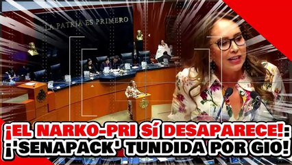 ¡EL PRI SÍ DESAPARECE PERSONAS! ¡’SENAPACK de ALITO’ DESTRUIDA x GEOVANNA x ATACAR a la PRESIDENTA!