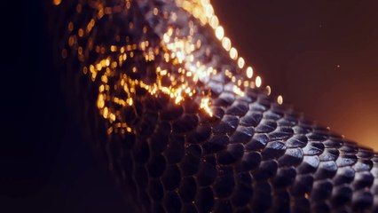 The Hunger Games Sunrise on the Reaping Movie (2026) - Teaser Trailer