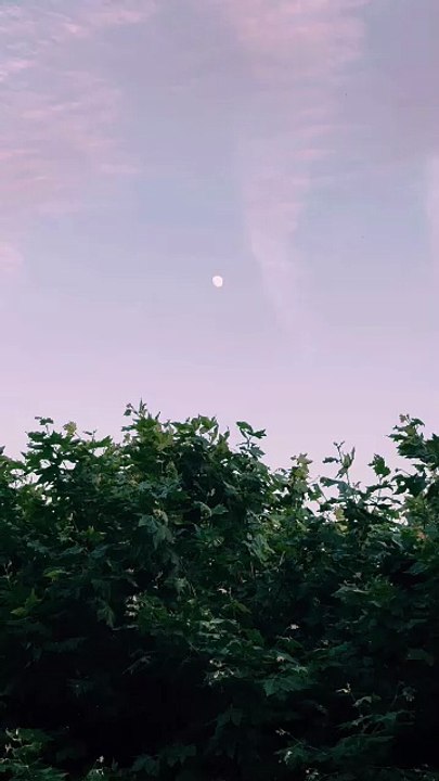 Je ne force personne à m'aimer mais j'oblige tout le monde à me respecter #motivation