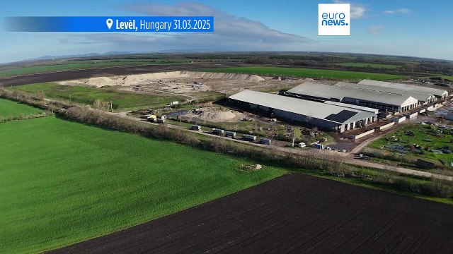 Farm animals buried near Austria-Hungary border after foot-and-mouth disease outbreak