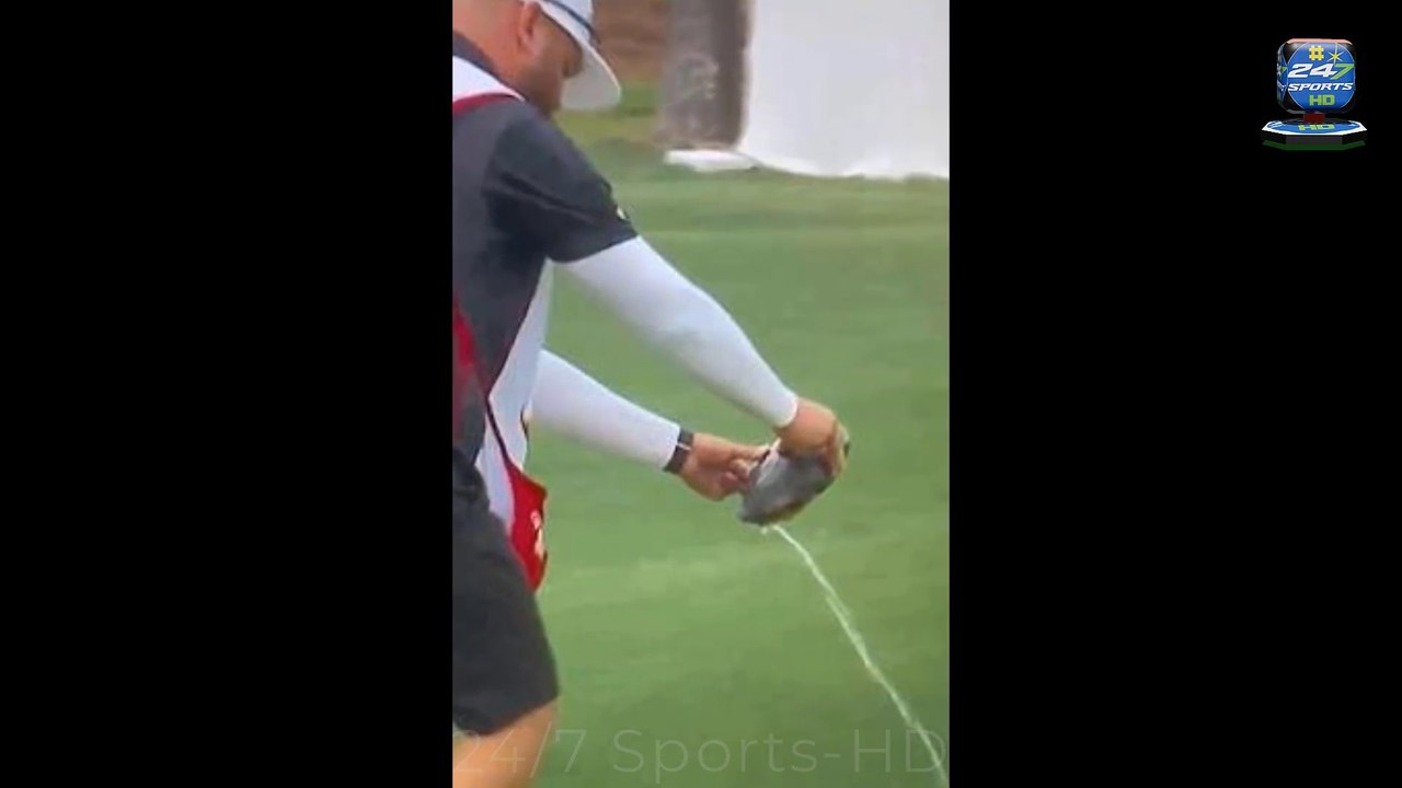 Golfer's caddie picked up a turtle at the Houston Open... and what happened next left fans horrified