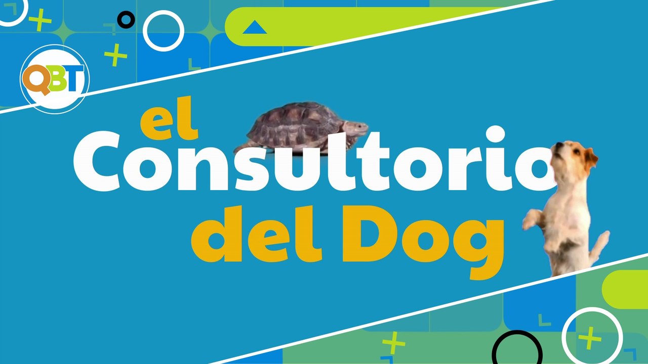 El consultorio del dog