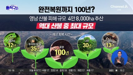 [핫2]산불 피해 완전복원까지 100년?…연예인·기업도 기부 행렬