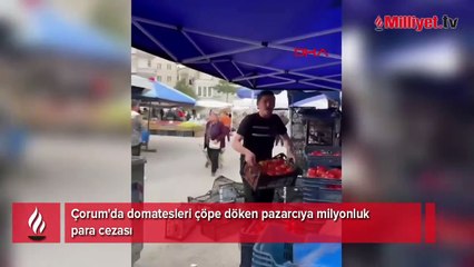 Çorum'da domatesleri ucuza satmamak için çöpe döken pazarcıya milyonluk para cezası