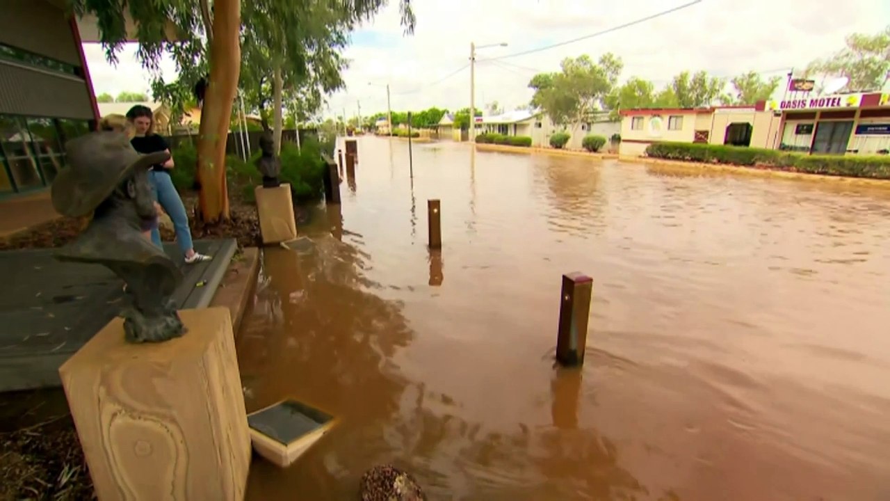 More than 100,000 head of livestock estimated lost during flooding in outback Queensland