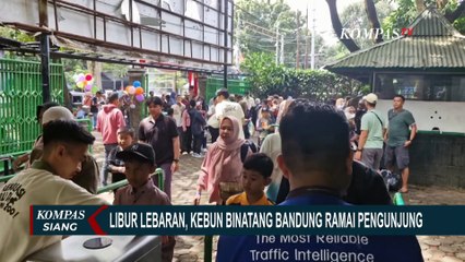 Hari Kedua Lebaran Selasa 1 April 2025, Kebun Binatang Bandung Dipadati Pengunjung