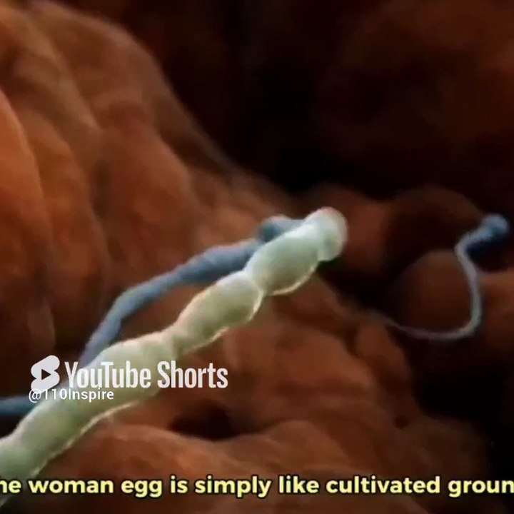 And that He created pairs, the male and the female #110inspire