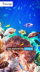 Looking for an unforgettable Adventure in Muscat ?