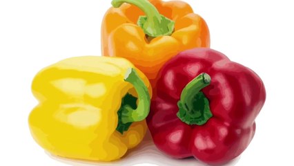 Learning Vegetables For Kids  Toddlers