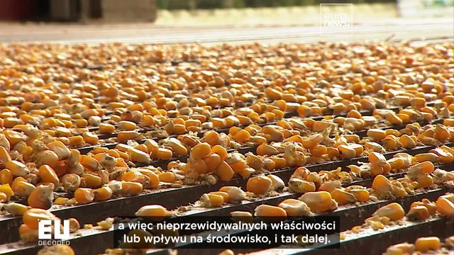 Czy europejskie rolnictwo przejdzie na nowe techniki genomiczne?