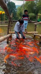 Munnar Places to Visit | Tourist attractions in Munnar