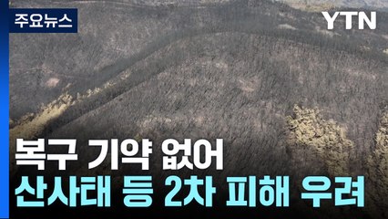 올여름 산사태 등 '2차 피해' 우려..."긴급복구 시급" / YTN