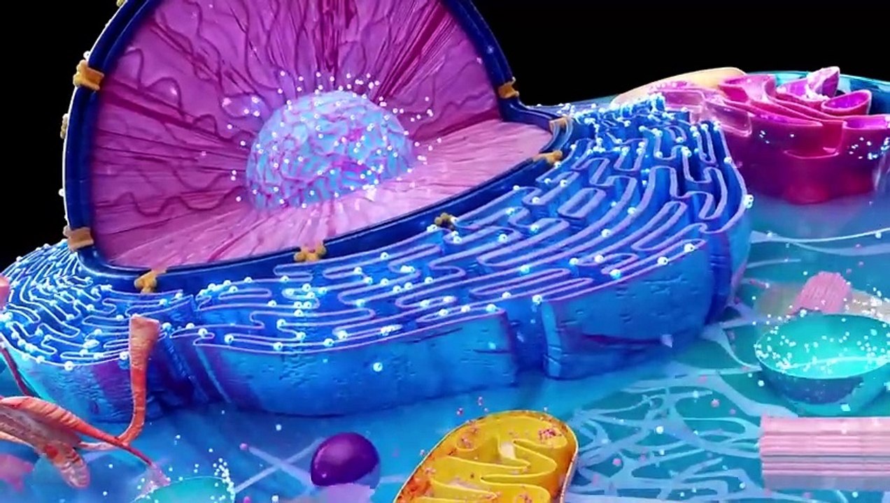 Dr. Zee_Sakht Challenge _ Fasting Benefits For Immunity In Ramadan