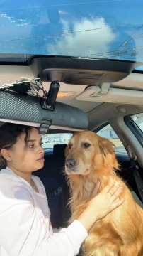 Dog Gets Sad After Owner Pulled Back From Her Kiss