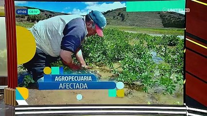 Inundaciones golpean el agro: Suman 500.000 hectáreas de cultivos afectadas, dice la CAO