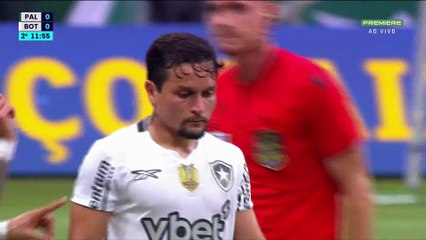 【FULL MATCH】 Palmeiras vs. Botafogo | Campeonato Brasileiro 2025 -- JOGO COMPLETO 2 of 2