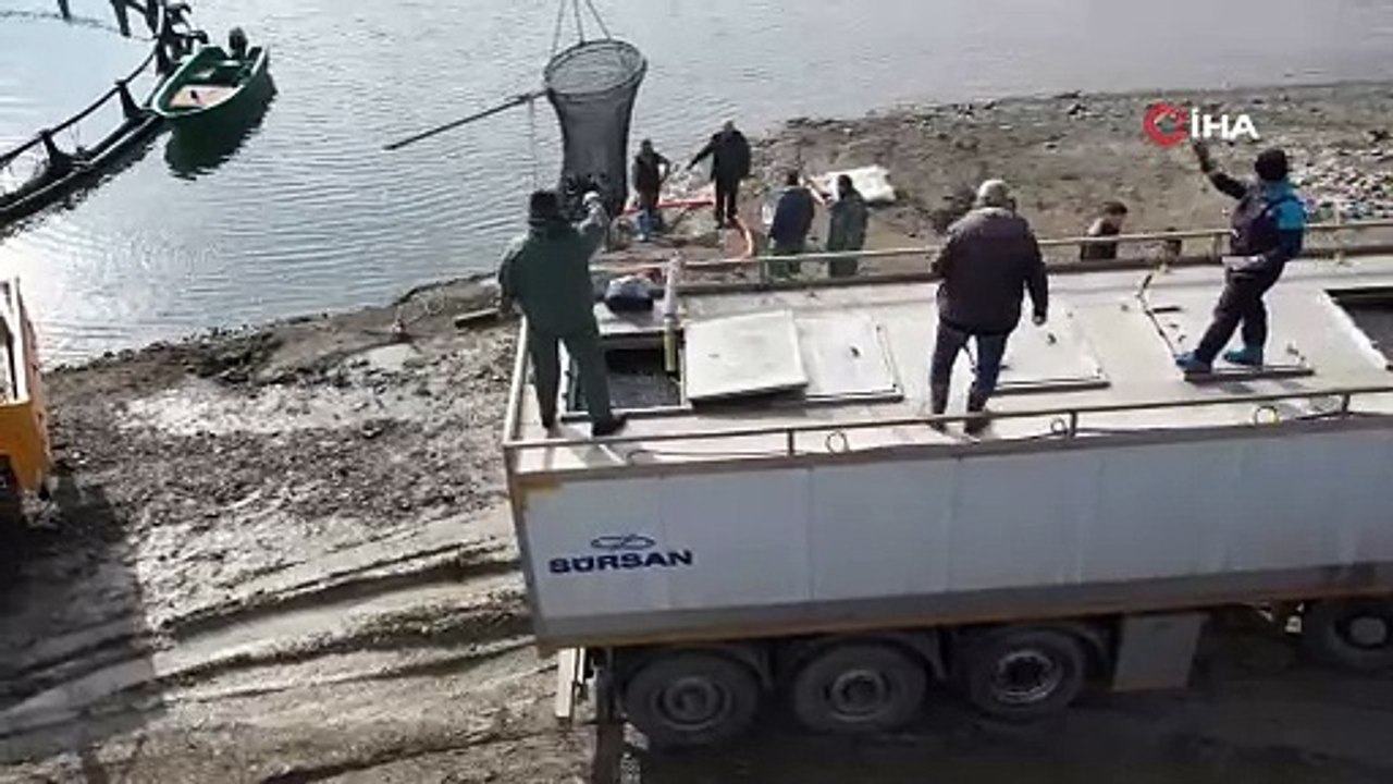 Bayramda dinlenmek yok! Denizi olmayan Tokat’ta balık mesaisi