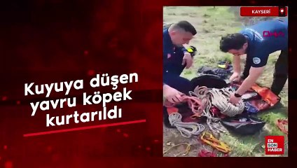 Hatay'da kuyuya düşen yavru köpek, itfaiye tarafından kurtarıldı