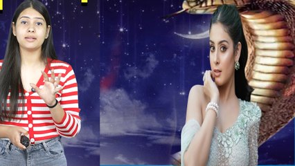 Naagin Season 7 को लेकर Ekta Kapoor ने दिया बड़ा सरप्राइज, Lead Role में नजर आएंगी Isha Malviya