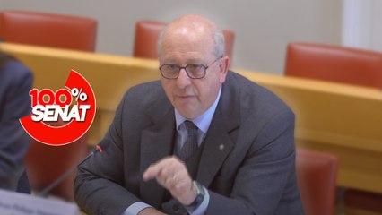 100% Sénat - Aides publiques aux entreprises : audition de Stellantis