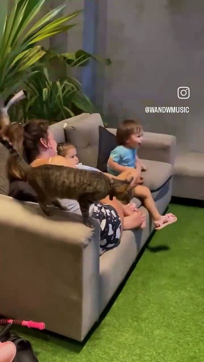 C'est quoi ce chat ? ?