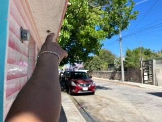 Vecinos del centro de Mérida piden que un corten árbol: esta es la razón