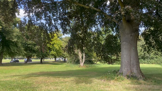 People’s Trust for Endangered Species: Helping endangered animals