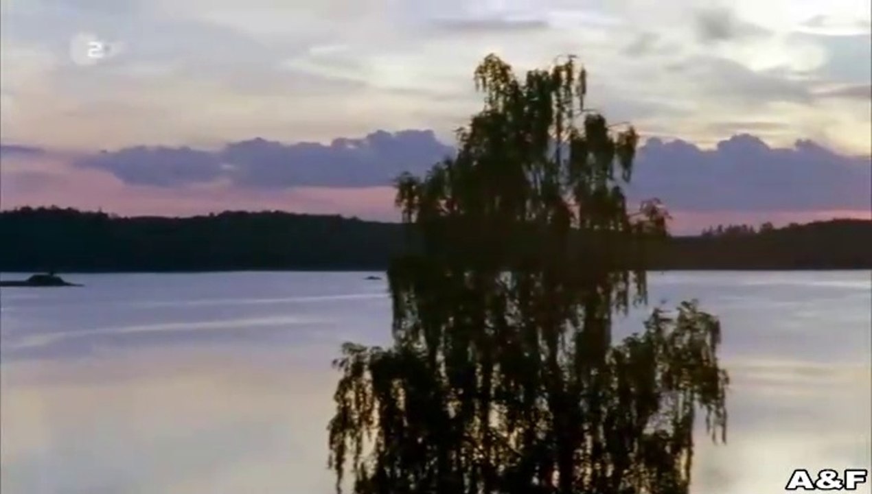 Inga Lindström -026- Hannas Fest